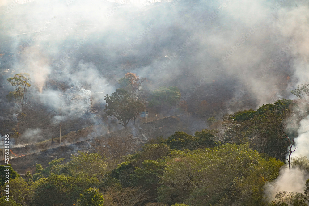 Fototapeta premium Forest fire disaster in Monte Alegre do Sul, Sao Paulo, Brazil. 8 September-2020