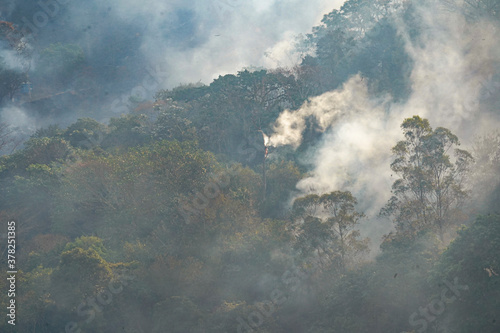 Forest fire disaster in Monte Alegre do Sul, Sao Paulo, Brazil. 8 September-2020 © Ana