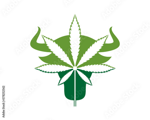 Bull head with cannabis leaf inside