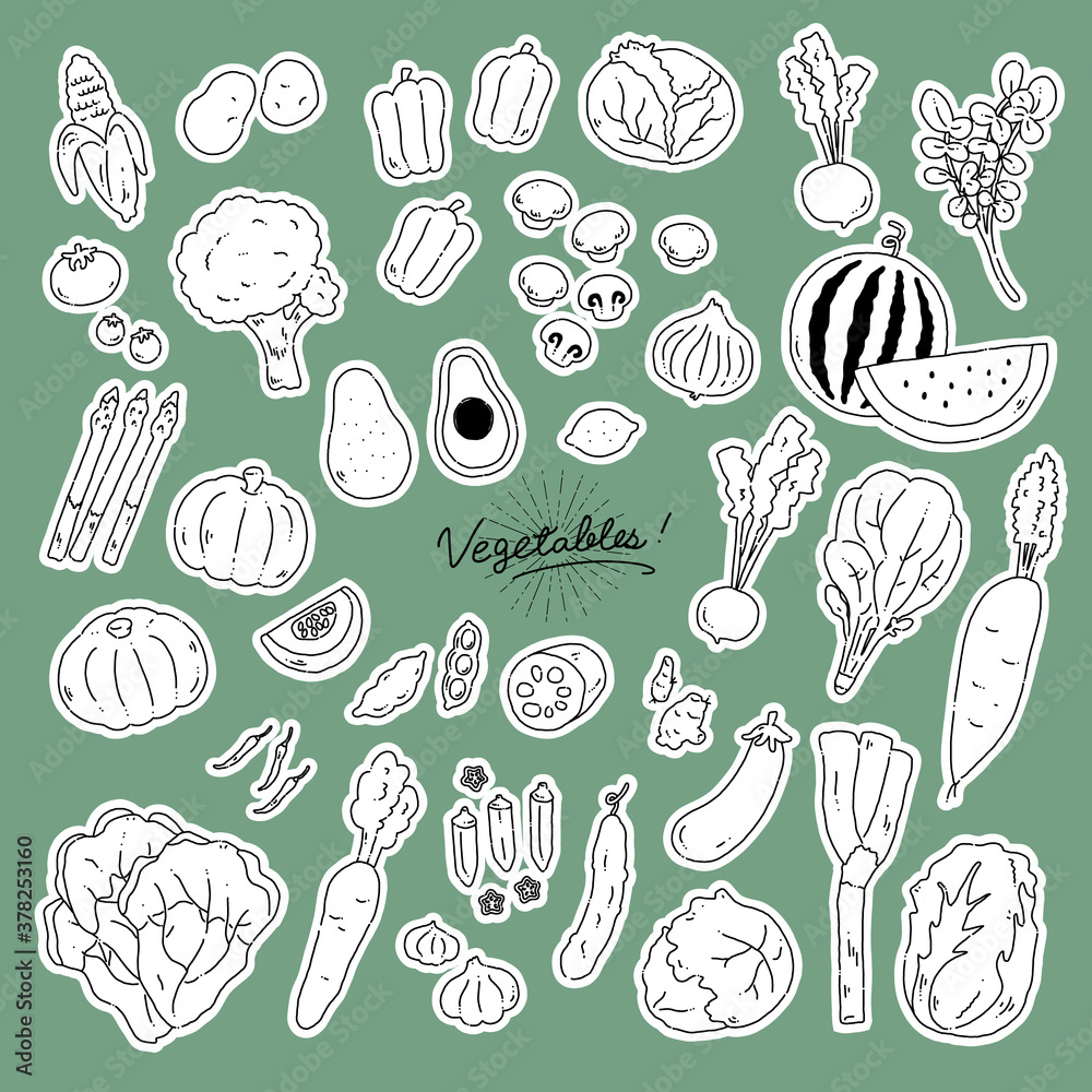 いろんな野菜の手描きイラストアイコンvegetables line illustration vector icon いろんな野菜の手描きイラストアイコンvegetables line illustration vector icon