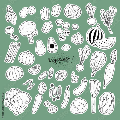 いろんな野菜の手描きイラストアイコンvegetables line illustration vector icon