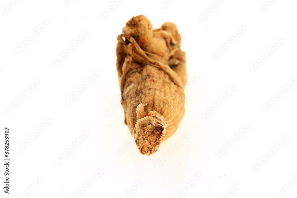 Ginseng on a white background