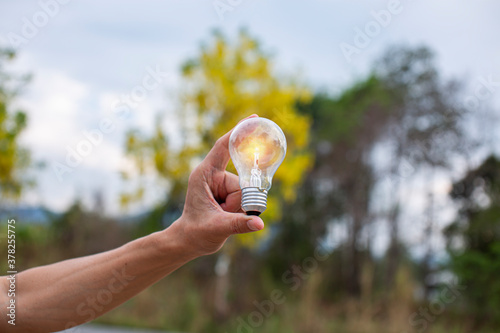 Light bulbs that grow, in the concept of energy in nature