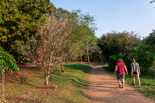 person walking in the park
