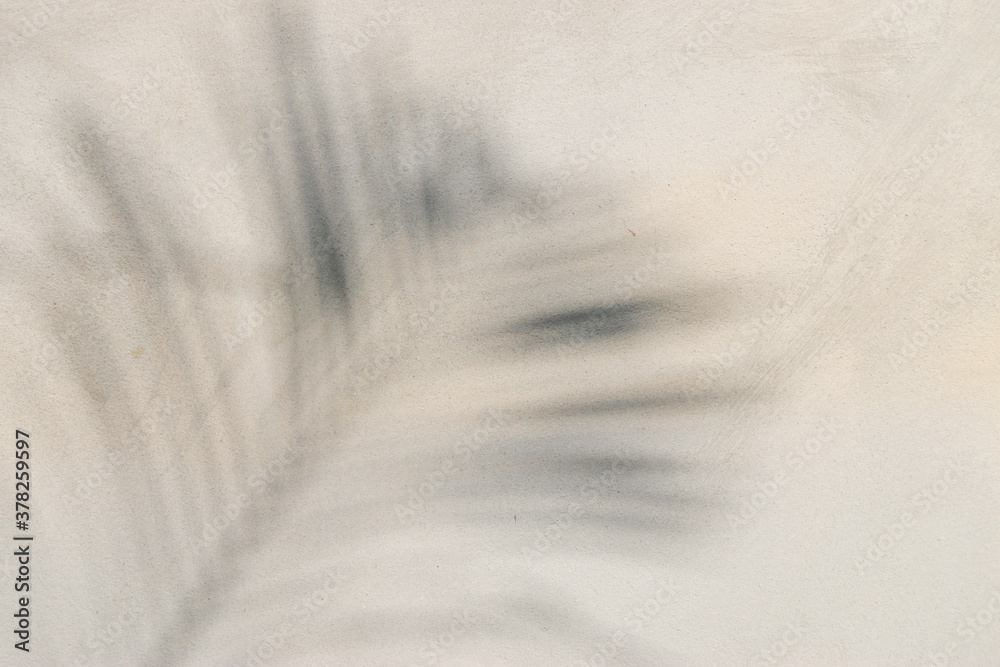 Obraz premium abstract background texture of shadows leaf on a concrete wall