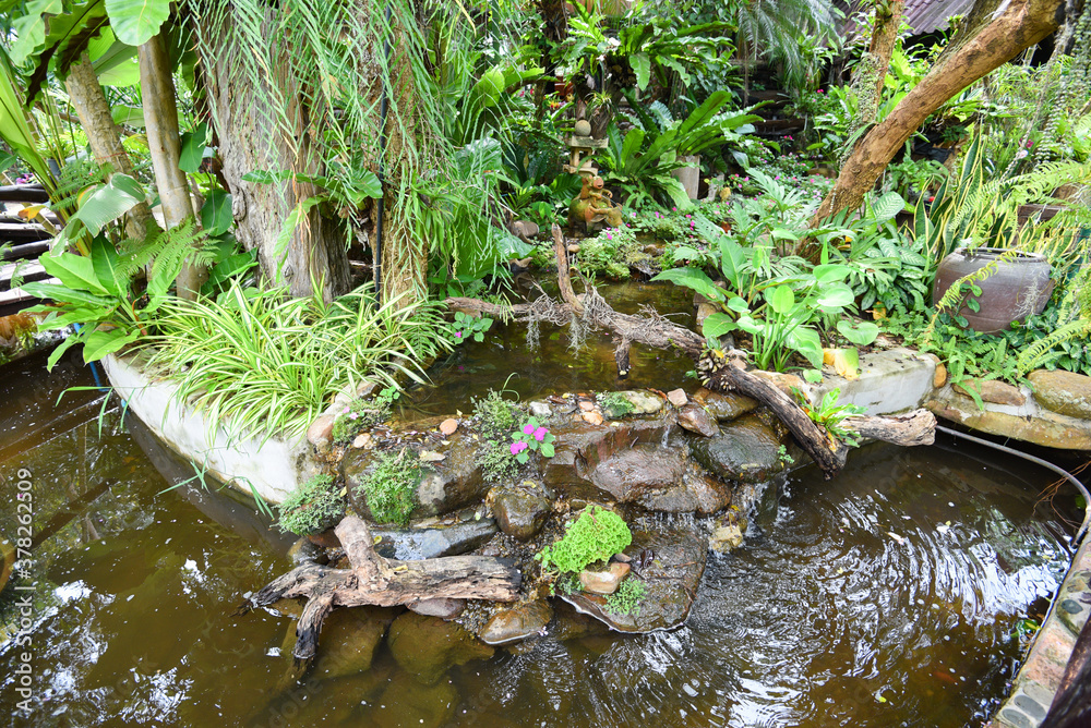 Water stream or Small waterfall decorate front yard - nature garden with plant tree flowers in the asian with a pond park Water stream or Small waterfall decorate front yard - nature garden with plant tree flowers in the asian with a pond park