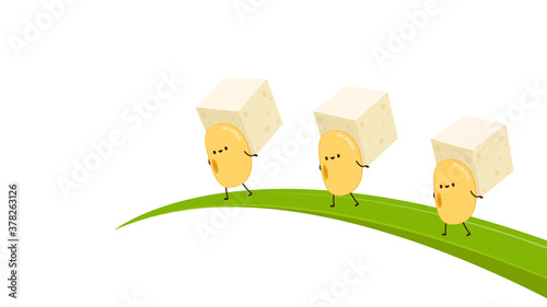 Soybean vector. Soybean character design. Soybean and tofu vector.