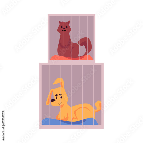 Cat and dog sitting in cages in pets shelter flat vector illustration isolated.