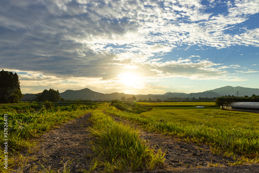 Obraz premium 秋の田園風景 秋田県仙北市