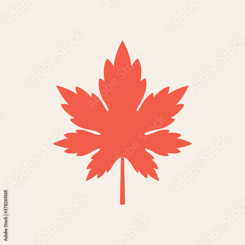 Maple leaf vector icon