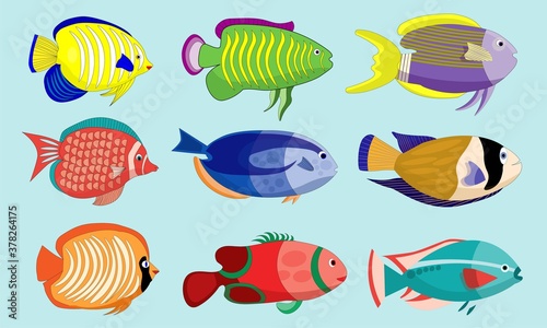 Nine cute fish characters. Fish cartoon assets for learning and children's products. Vector based design