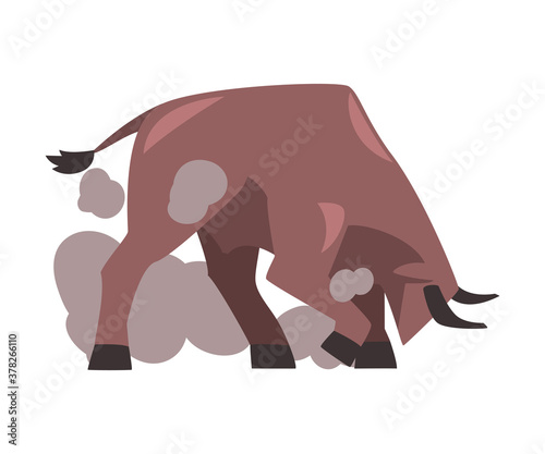Furious Fighting Bull, Spanish Corrida Traditional Performance Cartoon Style Vector Illustration