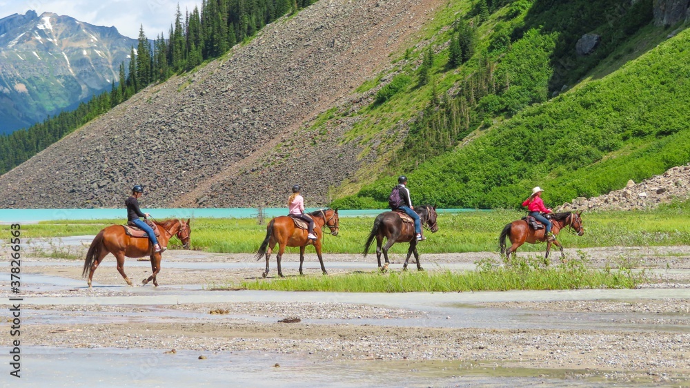 Mountain guided horse tours - The view on 4 horses with riders crossing the path towards the hills. The Lake Louise in the background. Banff National Park, AB. 