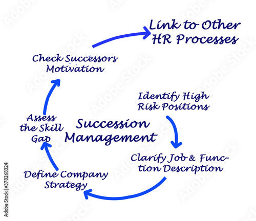 Six Components of Succession Management