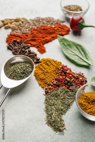 Fototapeta Naklejka Na Ścianę i Meble -  North and South America made of spices on color background
