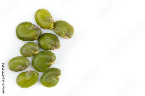 Wallpaper Mural Boiled and peeled broad bean on white background Torontodigital.ca