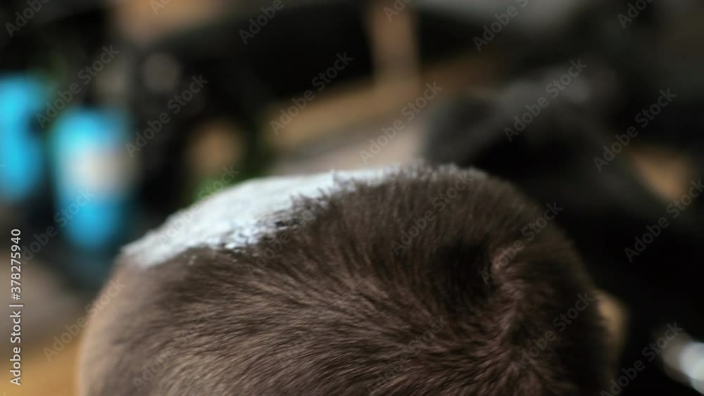 Hairdresser applies bleach to a woman's hair. The salon is at home. Hairdresser applies bleach to a woman's hair. The salon is at home.