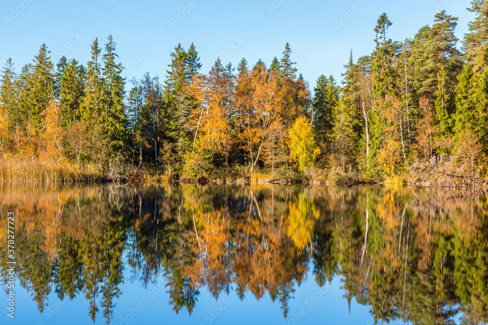 Autumn at the lake in the woods with water reflections