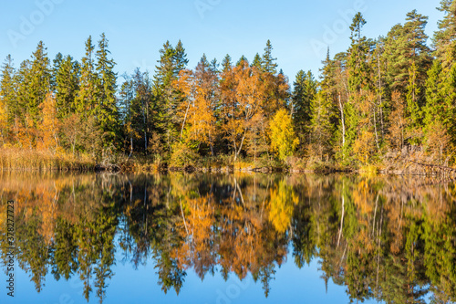 Autumn at the lake in the woods with water reflections