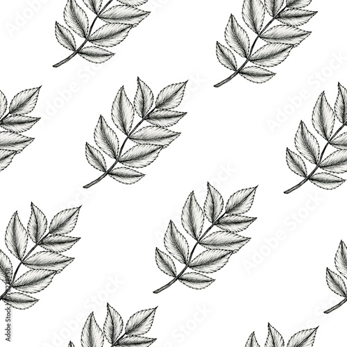 black and white leaf branch seamless pattern, autumn leaf decoration for backgrounds, fabric or wrapping, vintage leaf ink drawing, line art floral sketch