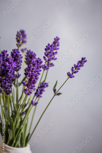 Fresh flowers of lavender bouquet on rustic wooden background