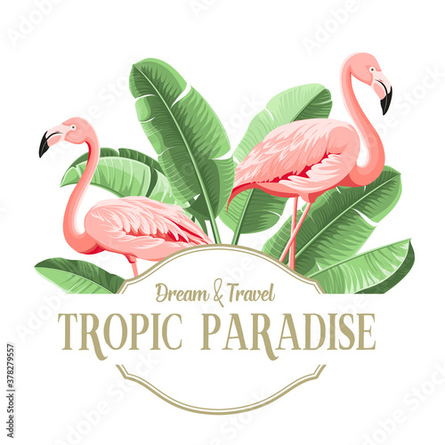 Summer tropical frame exotic banana leaf. Design background for card,invitation,poster.