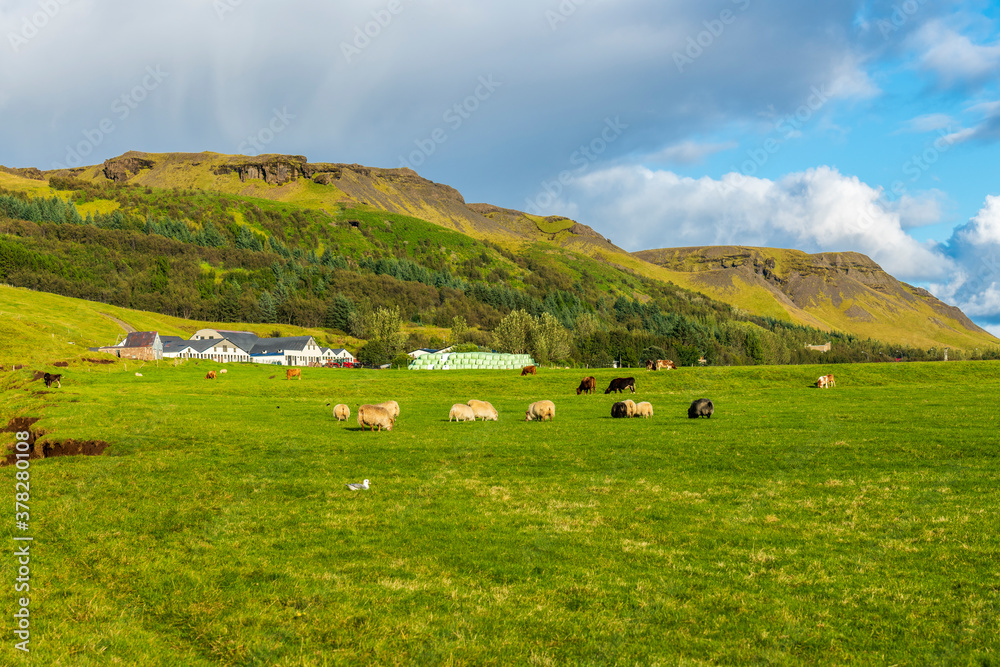 Farm in Skogar, Iceland
