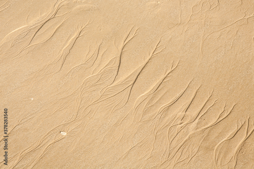 Sand texture. Sandy beach for background. Sand texture. Sandy beach for background.