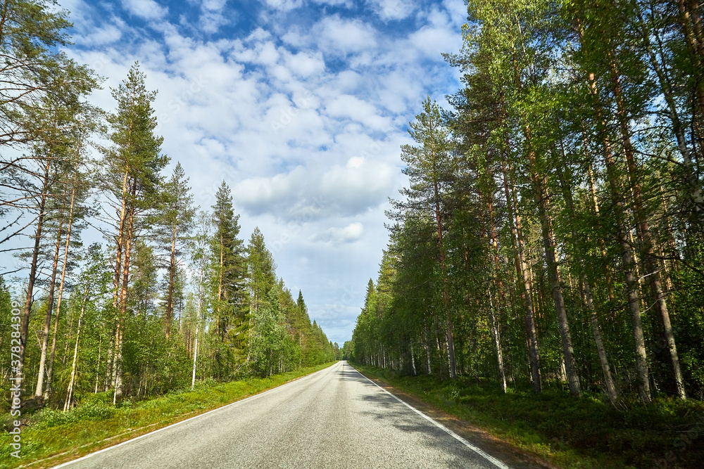 Naklejka premium Beautiful landscape with blue sky, white clouds and the road that goes to the horizon with the forest and trees on the roadsides