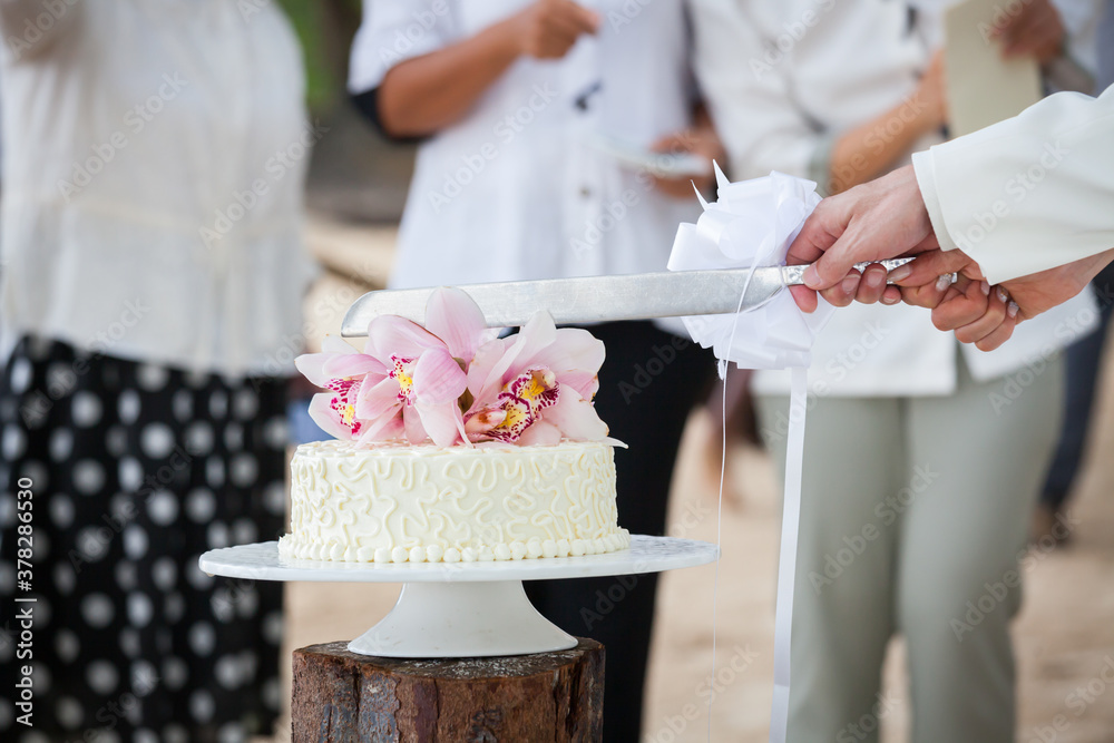 Wedding cutting a wedding cake . Wedding cutting a wedding cake .
