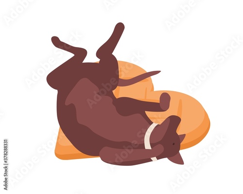 Funny dog in collar relaxing lying on comfortable pillow vector isometric illustration. Happy domestic animal sleeping raising paws isolated on white background. Calm pet resting or reposing on floor