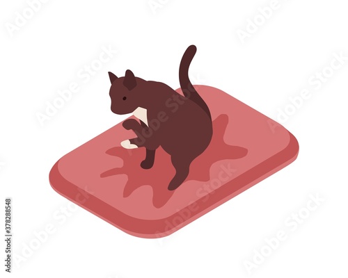 Cute cat sitting in tray over puddle of urine vector isometric illustration. Funny feline domestic animal on the pillow licking itself isolated on white background. Colorful kitty pissing