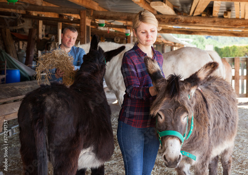 Portrait of positive woman working on farm stall, looking after donkeys ..