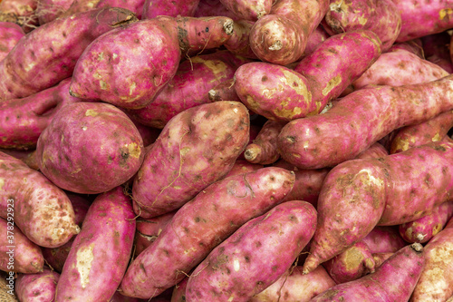 closeup of pink sweet potatoes.