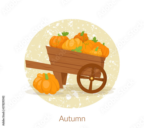 Farmer wooden cart with pumpkin. Autumn harvest pumpkins in wood wagon isolated on white background for Thanksgiving