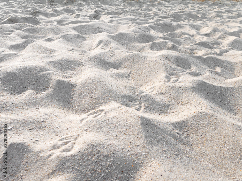 White sandy beach dune with seagull footprints White sandy beach dune with seagull footprints