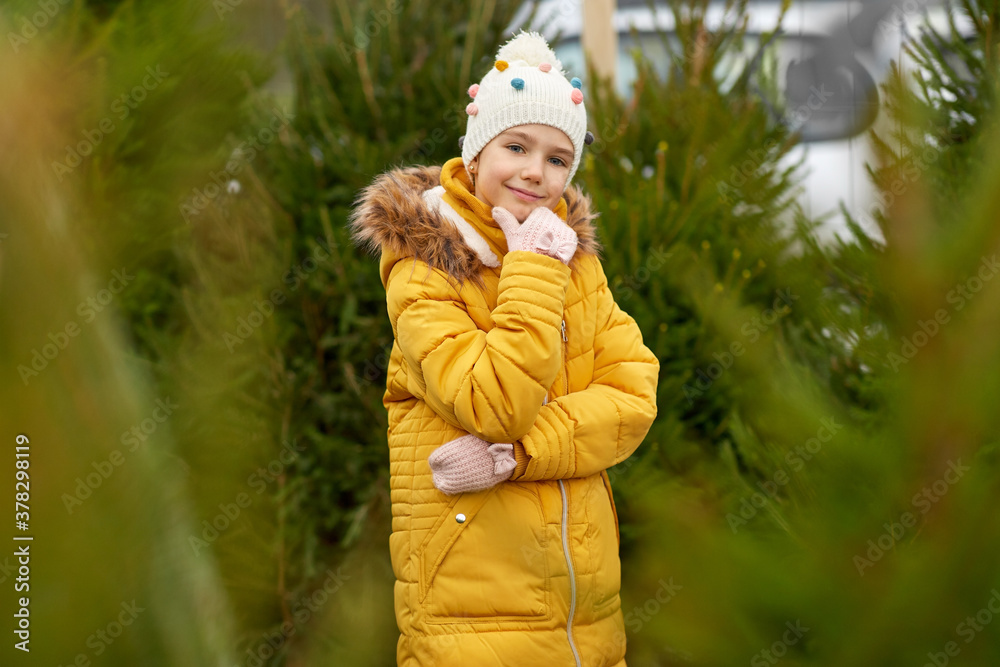 winter holidays and people concept - happy smiling little girl choosing christmas tree at street market winter holidays and people concept - happy smiling little girl choosing christmas tree at street market
