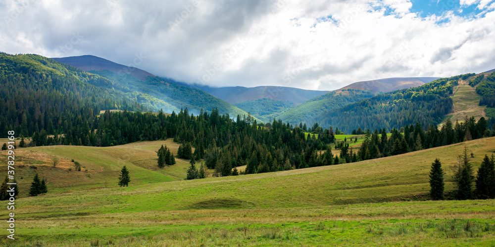 autumnal countryside landscape. beautiful mountain scenery on a cloudy day. green fields rolling through hills in to the forest at the foot of the ridge
