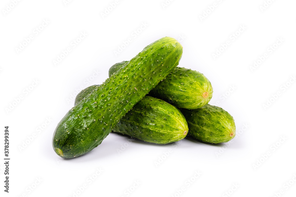 bunch of fresh cucumbers isolated on white background bunch of fresh cucumbers isolated on white background