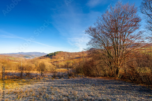 mountainous countryside in november. leafless trees on hills rolling in to the rural valley. snow capped ridge in the distance. sunny morning scenery