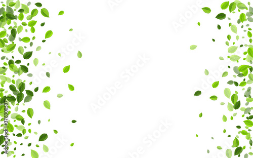 Mint Leaves Ecology Vector Template. Blur Greens 