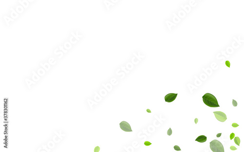 Mint Greens Swirl Vector Backdrop. Flying Leaf 