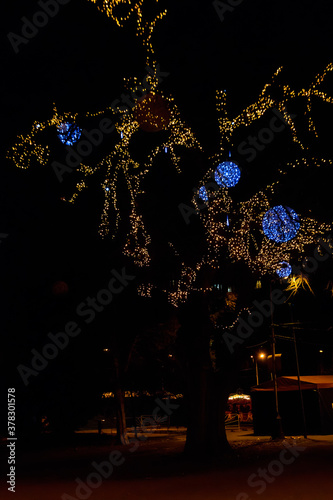 Decorated tree with multi-colored Christmas lights in city park at night