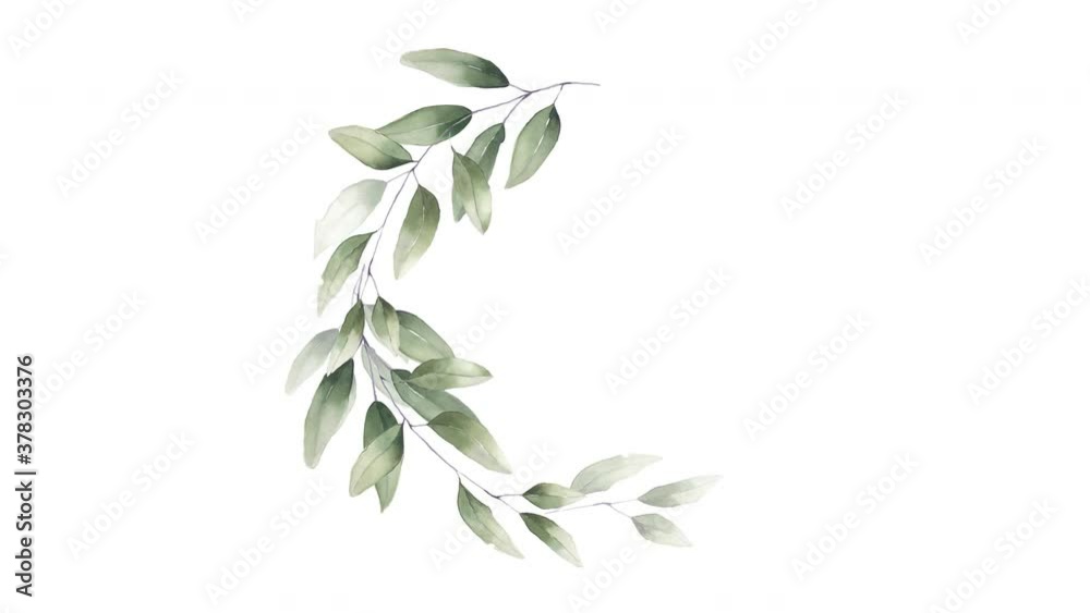 wreath of foliage greenery branches herbal watercolor frame white matte alpha channel