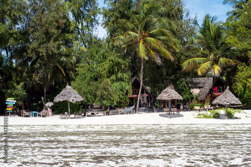 Beach paradise. Zanzibar  Tanzania 