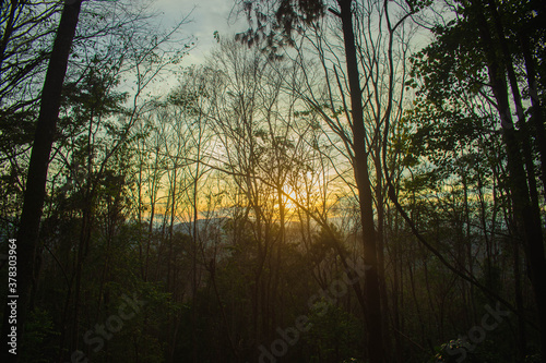 The sun sets in the evening with the forest, not nature