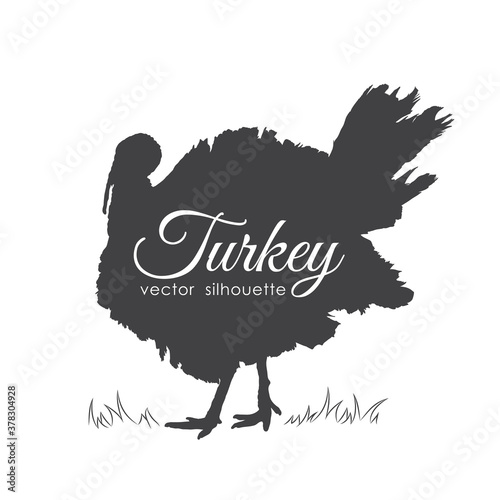 Silhouette of turkey isolated on white background.
