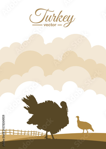 Vertical scene with Silhouettes of turkeys on background of farm field.