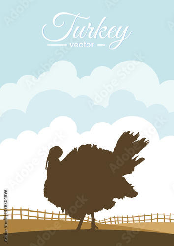 Silhouette of turkey on background of farm field.