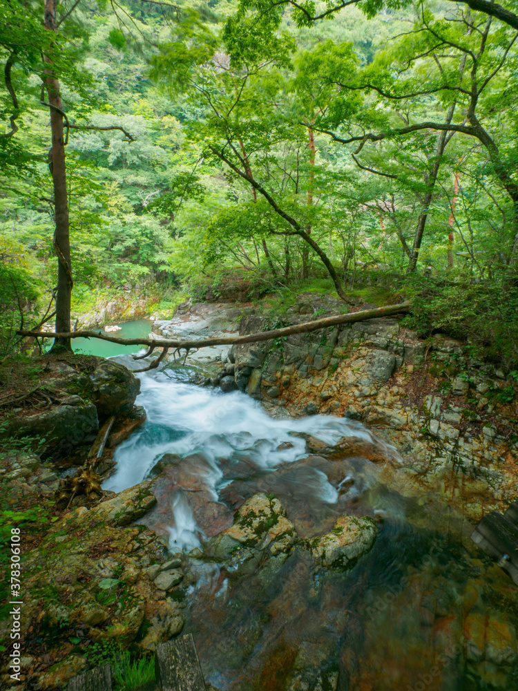 Top of the waterfall in forest (Tochigi, Japan)